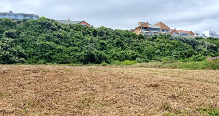 0 Bedroom Property for Sale in Outeniqua Strand Western Cape